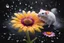 Placeholder: create a high definition image of raining scenery where a mice is under a flower soaking wet in a crystal style art mice is looking up the rain drops from the colourful daisy flower petals with black background