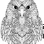 Placeholder: Hawk, front view, mandala, minimal lines, cartoon, white back ground color, real style, realistic, minimalistic, minimal black line art, line art, crisp line art, unique coloring sheet, outlined, outline, crisp, crisp line edges, illustration, thin lines, crisp clear lines, line art, clean line art, unique, 8k, amazing, masterpiece, no colors, no dark color, no black color, avoid thick black, minimalistic line edges, pure white back ground, image character full fit to page,