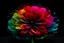 Placeholder: flower with blowing petals neurographic art