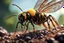 Placeholder: Imagine/ Ant trying to take down a flying wasp,Hyper-detailed ,8k, by xanuth