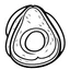 Placeholder: bold and easy Coloring page for toodlers, with a avocado, very Bold outlines and white background, minimum amount of details, very simple, very thick outlines