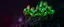 Placeholder: close up on glowing raven ant skeleton rat babies, raised by ninja necromancer in the wild