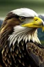 Placeholder: Generate an image of an eagle with beutiful view