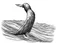 Placeholder: The whale's tail rises above the sea. The sketch is linear in black and white. HIGH-QUALITY image IN 8K