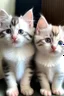 Placeholder: Soft color kittens