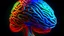Placeholder: cool image of brain