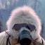 Placeholder: Yeti, background = (wildfires, mountains, fires, smoke, disaster)