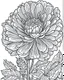 Placeholder: real massive Marigold flower coloring page