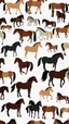 Placeholder: Horses collection