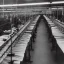 Placeholder: textile manufacture at Hitler's wolf's lair