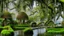 Placeholder: Gigantic mushroom village with balconies, archways, stairs, bridges, bushes, spanish moss, ivy, lake, a winding pathway through the middle