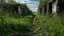 Placeholder: The path to the horizon is lost among the undergrowth and abandoned structures, with a small canine as the only witness to the place.