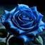 Placeholder: blue rose image