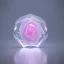 Placeholder: transparent crystal rose, crystallized