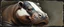 Placeholder: airbrush and pen outline, close up on hippo badger , pinhole cam, airbrush 3d rendering, in the style of Titian and Rembrandt , torn edges on border
