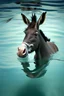 Placeholder: a donkey swiming