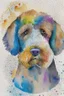 Placeholder: abstract watercolour of the head of bernadoodle dog in the style of paul klee with circles of colour and sketchy thin inky lines