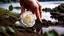 Placeholder: a young woman's hand planted a white rose stem in the ground, in the background a lake, some green trees, ultra detailed, sharp focus, perfect hands, perfect photo