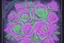 Placeholder: Black light art, neon rose