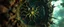 Placeholder: close up of abraxas in the fish eye web, interdimensional portal