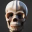 Placeholder: analog style,crystal skull portrait, simmetric eyes, ambient, ultra realistic photo, unreal engine, paloroid, 100mm --aspect ratio 1:1