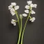 Placeholder: tiny delicate long stem flower, beautiful composition, centered in frame, pastel colors, plain solid color, highly intricate, extremely ornate, highly detailed, photorealistic, chiaroscuro, aesthetic layout, monochrome pantone, minimalist photography, hyper realistic, octane render, minimalist art