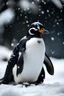 Placeholder: penguim in snow