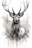 Placeholder: black and white sketch of a stag, ink drawing, woodland, white background, drawing by Carne Griffiths