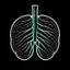 Placeholder: Lungs, Logo, 4k, high resolution