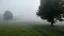 Placeholder: It is midday, and it is misty.