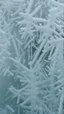 Placeholder: frost formed over glass