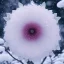 Placeholder: smooth hyper realistic, beautiful Japanese snow flower in crown, pale colors, dark cosmos background, cat еye, extremely sharp detail, finely tuned detail, ultra high definition, 8 k, unreal engine 5, ultra sharp focus, accurate sword wings, positive smile, lot of details, fit within portrait, Ambiance winter, perfect composition, perfect hair, perfect hands, finger up gestures