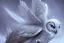 Placeholder: snow winged OWL