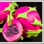 Placeholder: Dragon fruit by space invaders