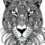 Placeholder: Leopard front face view, cartoon, mandala, white back ground color, real style, realistic, minimalistic, minimal black line art, line art, crisp line art, unique coloring sheet, outlined, outline, crisp, crisp line edges, illustration, thin lines, crisp clear lines, line art, clean line art, unique, 8k, amazing, masterpiece, no colors, no dark color, no black color, avoid thick black, minimalistic line edges, pure white back ground, image character full fit to page,