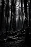 Placeholder: black and white fairytrees with veins in dark forest