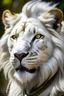 Placeholder: White Lion with serious face and scar in the eye