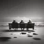 Placeholder: Life and loneliness