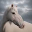 Placeholder: Jesus Christ, white horse, clouds