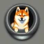 Placeholder: shiba inu in a orb pit