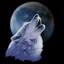 Placeholder: Wolf howling at the moon