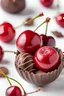 Placeholder: macro photo two stunning cherry Chocolate bonbon together big red cherry, cherry, white background intricate detailed, sharp focus, macro photography, photorealistic concept art, perfect light, studio photo, food photo, award winning photograph, perfect composition Professional photography, bokeh, natural lighting, canon lens, shot on dslr 64 megapixels sharp focus