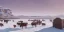 Placeholder: Cattle farm in a bleak vast empty cold land by a cold seaside