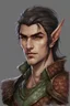 Placeholder: Half elf, male, 30 years old, dragon scale on face