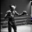 Placeholder: Nosferatu in his first boxing match.