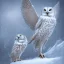 Placeholder: snow OWL