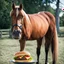 Placeholder: A horse eating a hamburger.