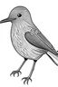 Placeholder: bird, line art, asthetic, realistis, white background, front view