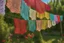 Placeholder: Beautiful lace tangas of different colours drying on a clothesline in a flower garden, centre, bold colours elegant fantasy 8k beautiful dynamic lighting award winning imperial colors hyperrealistic ultra detailed 4K 3D high definition crisp quality colourful hdr, backlit, in sunshine