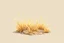 Placeholder: Isolated concept art of stylized alien dry grass on a plain neutral background. Simple low-poly design with minimal details, suitable for 3D modeling. The grass should look slightly alien — with unusual blade shapes, subtle color variations, and dry, brittle texture. Colors range from dusty yellow, ochre, muted green, and pale orange, blending naturally with desert or rocky terrain. No background, no shadows, clear separation of each grass clump, consistent lighting. Digital painting style